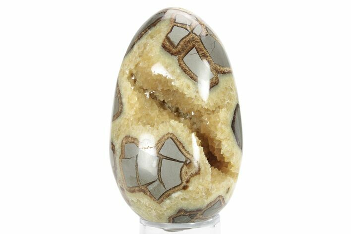 Calcite Crystal Filled Septarian Geode Egg - Utah #231073